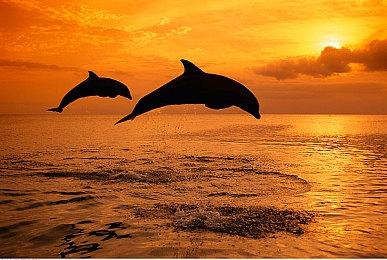 《最终幻想7：重制版》也将移植登陆Switch 2