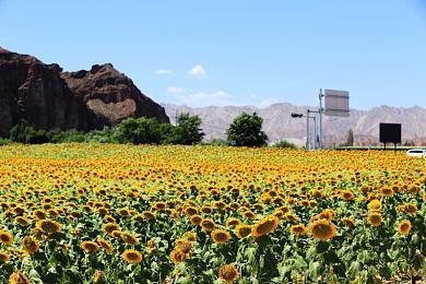 新作《天国：拯救2》意外泄露 2024年发售登陆主机和PC